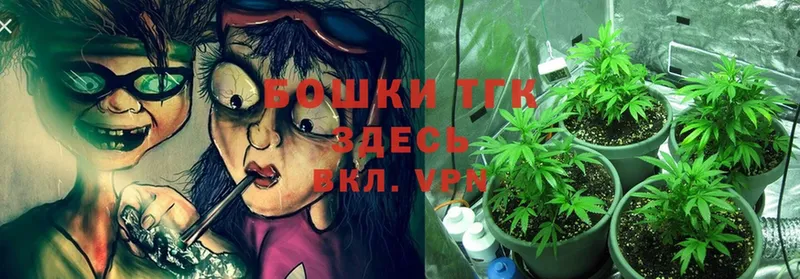 что такое   Кораблино  Марихуана OG Kush 